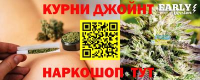 гидра Беслан