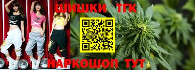 гидра Беслан