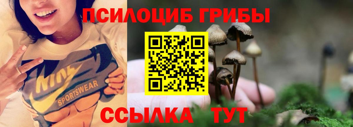 Галлюциногенные грибы мухоморы Карпинск